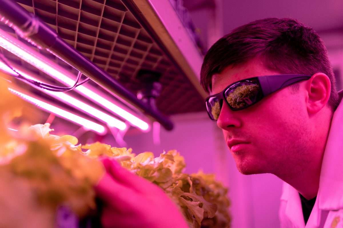 Killing Cancer Cells with Infrared Light